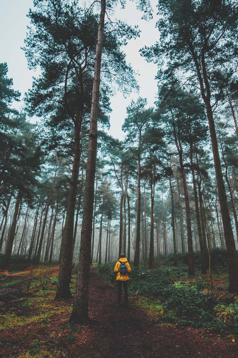 Mann mit gelber Jacke im Wald.