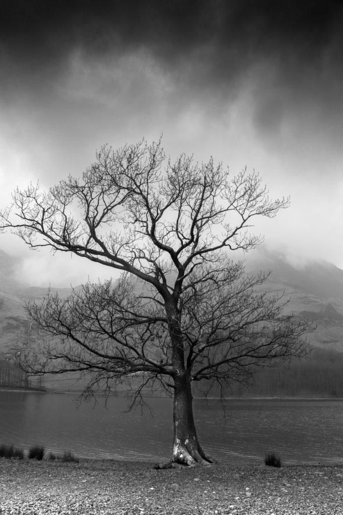 Der knorrige Baum hat einen wunderbar düsteren Effekt in der tristen Landschaft. Die Schwarz-weiß-Fotografie unterstützt diesen zusätzlich.